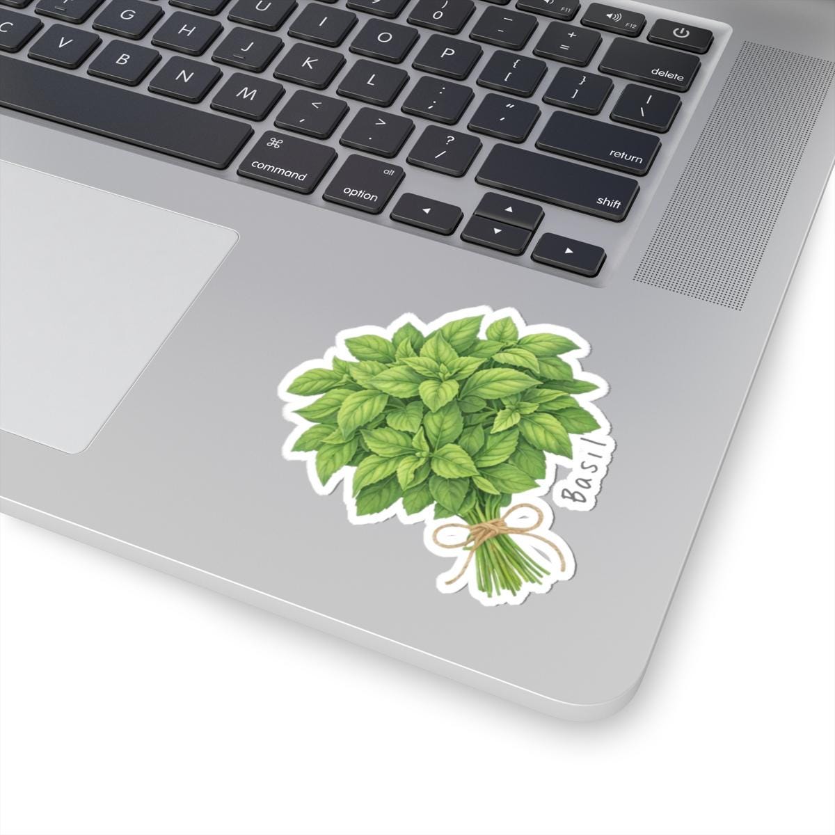Basil Sticker Hand-painted Kiss-cut Vinyl Decal for Journals Laptops ...