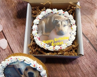 May include: Two dog treat cakes with edible frosting and colorful sprinkles. One cake has a photo of a dog with the text "Happy Birthday Brisket". The other cake has a photo of a dog with the text "Get Well Soon Hobbs".