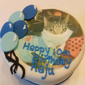 Photo Birthday 4 inch cat Birthday Cake cat nip and tuna image 3