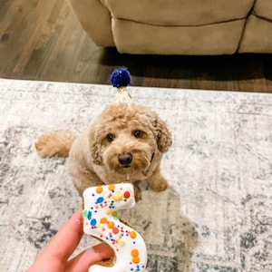 Single number dog treats pet gift  long lasting HARD treats