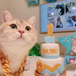 Personalized Birthday 2 tier CAT birthday cake kitty cake Chevron pet gift image 1