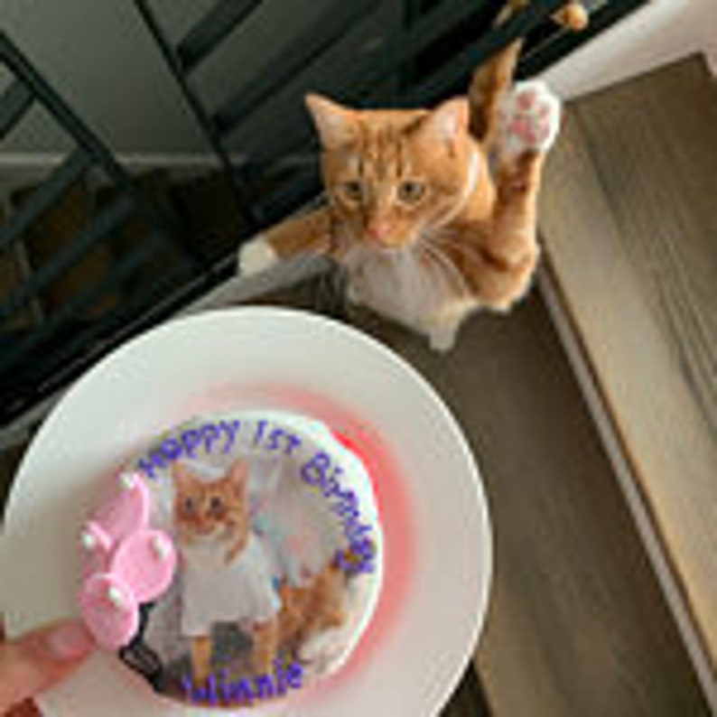 Photo Birthday 4 inch cat Birthday Cake cat nip and tuna image 2