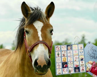 May include: A brown horse with a white blaze on its face wearing a red halter, positioned next to a square advent calendar featuring numbered holiday illustrations and a rectangular card with the text Merry and Bright above a gift illustration.