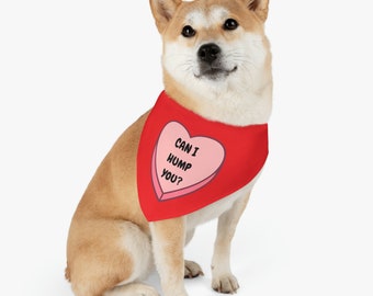 Can I hump you funny conversation heart valentine's day Pet Bandana Collar