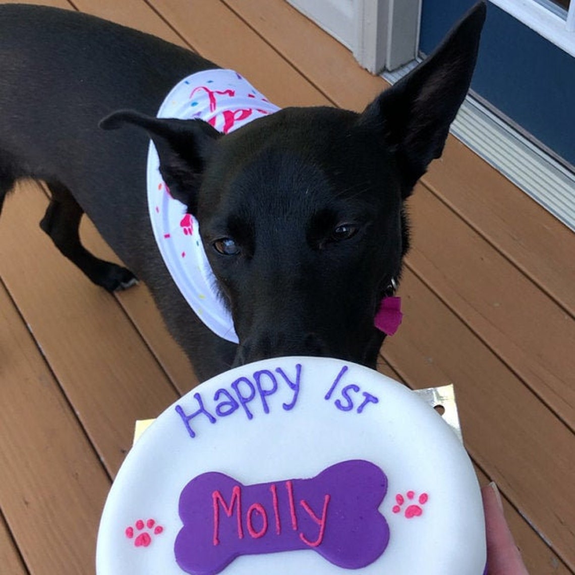 Personalized 6 In Dog Birthday Cake Peanut Butter Banana Dog Etsy