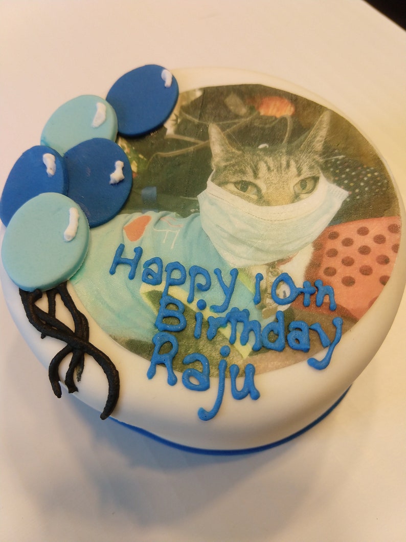 Photo Birthday 4 inch cat Birthday Cake cat nip and tuna image 3