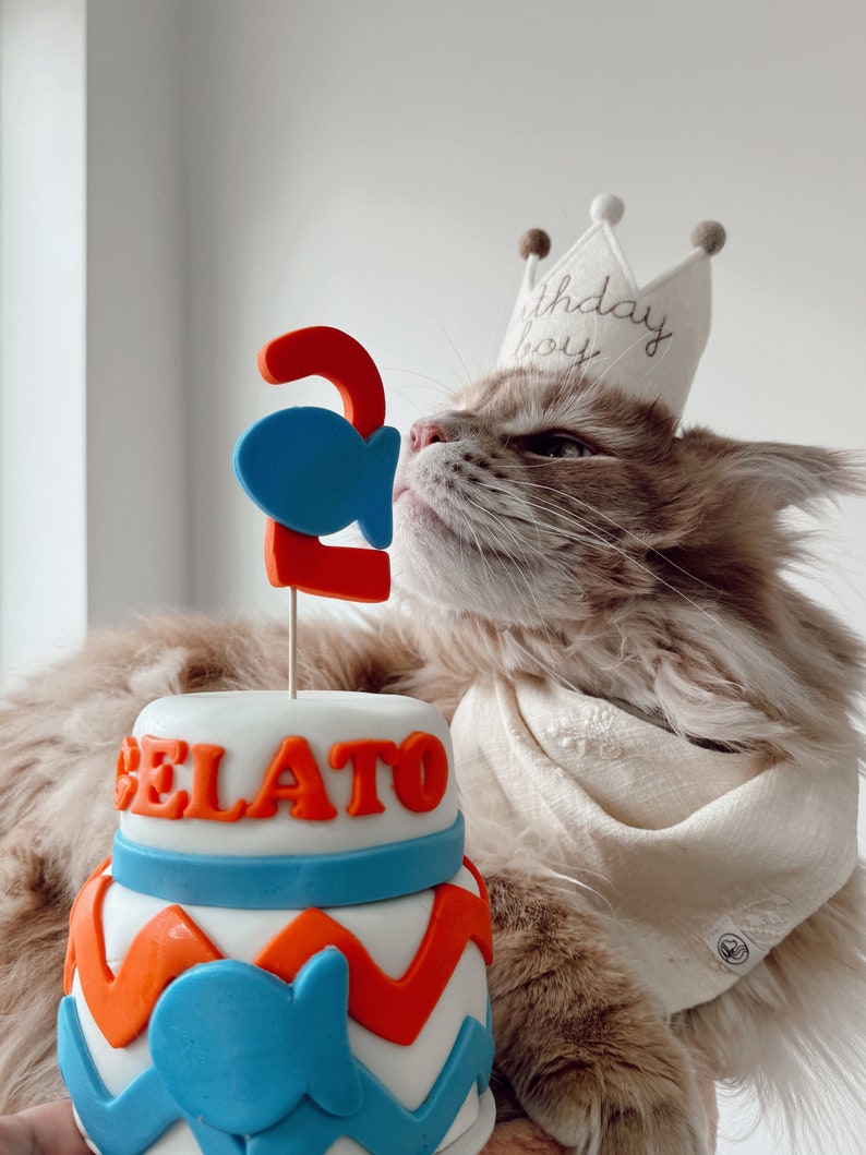 Personalized Birthday 2 tier CAT birthday cake kitty cake Chevron pet gift image 3