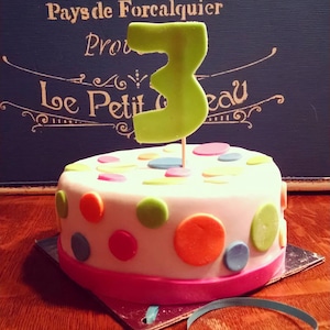 Polka dot Birthday 6 inch Dog Birthday Cake pet gift