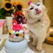 see more listings in the Cat Cakes section