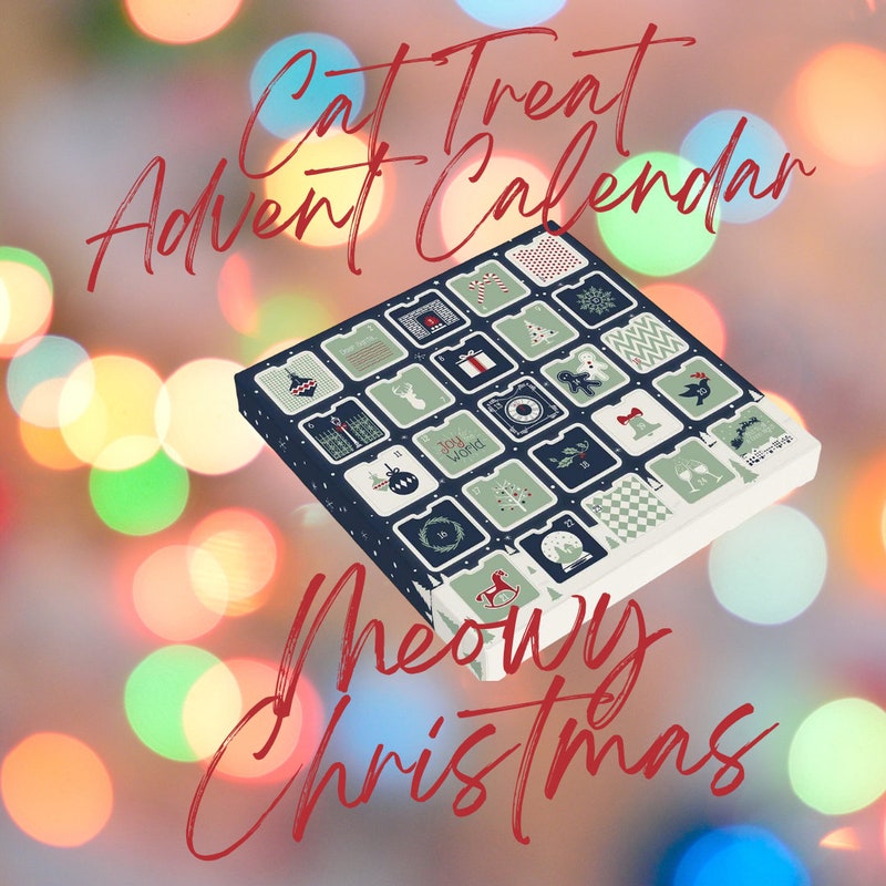 Unique Advent Calendars 2024 Etsy