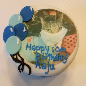 Photo Birthday 4 inch cat Birthday Cake cat nip and tuna image 4