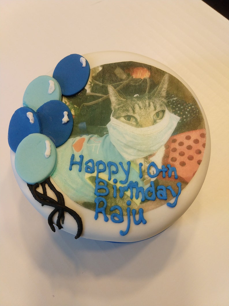 Photo Birthday 4 inch cat Birthday Cake cat nip and tuna image 4