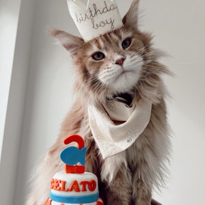 Personalized Birthday 2 tier CAT birthday cake kitty cake Chevron pet gift image 2
