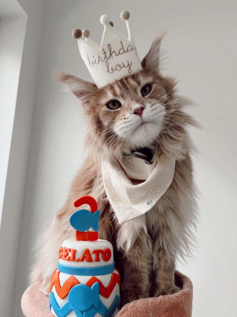 Personalized Birthday 2 tier CAT birthday cake kitty cake Chevron pet gift image 2