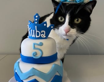 Personalized Birthday 2 tier CAT birthday cake kitty cake Chevron pet gift