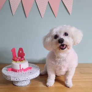 First Birthday  flower dog cake pet gift