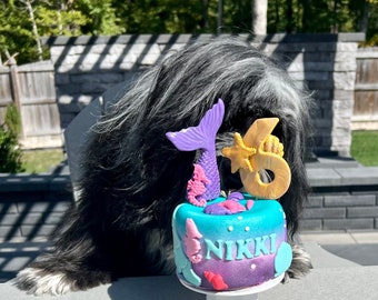 Mermaid under the sea cake Dog Birthday cake pet gift