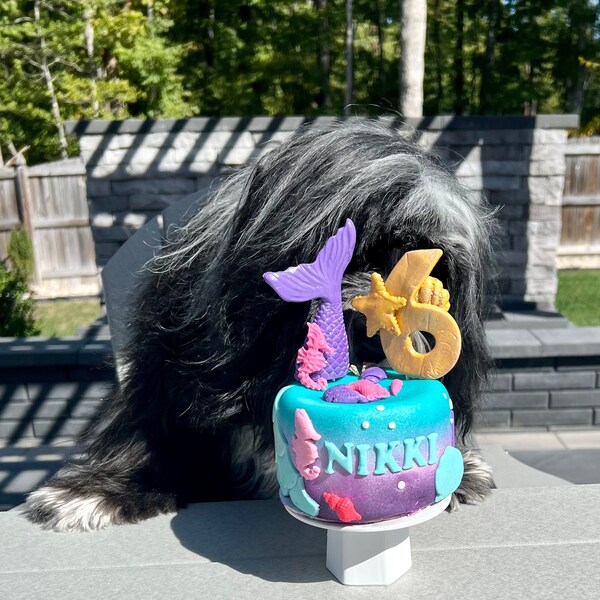 Mermaid under the sea cake Dog Birthday cake pet gift