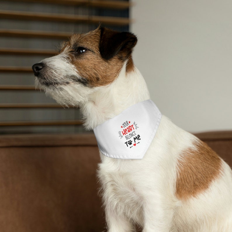 Valentine's Day Pet Bandana Collar your heart belongs to me image 4