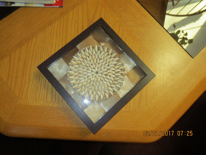 Upcylced Shadowbox Displays-Handcrafted Seashell Trivets image 5
