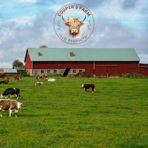 May include: A pastoral scene featuring a red barn with a green roof and a field of grazing cows. The sky is overcast. The Cooper's Farm logo, with a cow wearing flowers, is at the top.