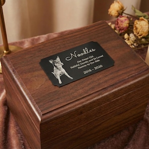 May include: A wooden pet urn with a black nameplate. The nameplate reads "Noodles" with a dog illustration and the text "Our Sweet Girl, Faithful, Gentle, and So Loved, Forever by Our Side, 2016-2026". The urn is brown and sits on a velvet surface.