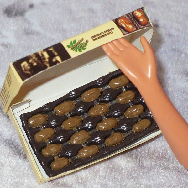 Barbie Doll Size 2 pc Hawaiian Macadamia Nuts Chocolates Food Accessories Accessory Diorama Supply Hawaii