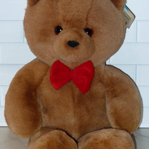 Dakin 1986 Bear - Etsy