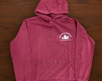Raf Simons “Virginia creeper” hoodie vintage