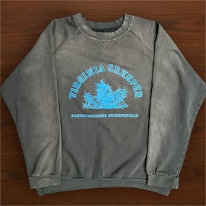 May include: A gray sweatshirt with the words "VIRGINIA CREEPER" in blue arched above a blue botanical illustration. Below the illustration is the text "PARTHENOCISSUS QUINQUEFOLIA". The sweatshirt has a crew neck and long sleeves.