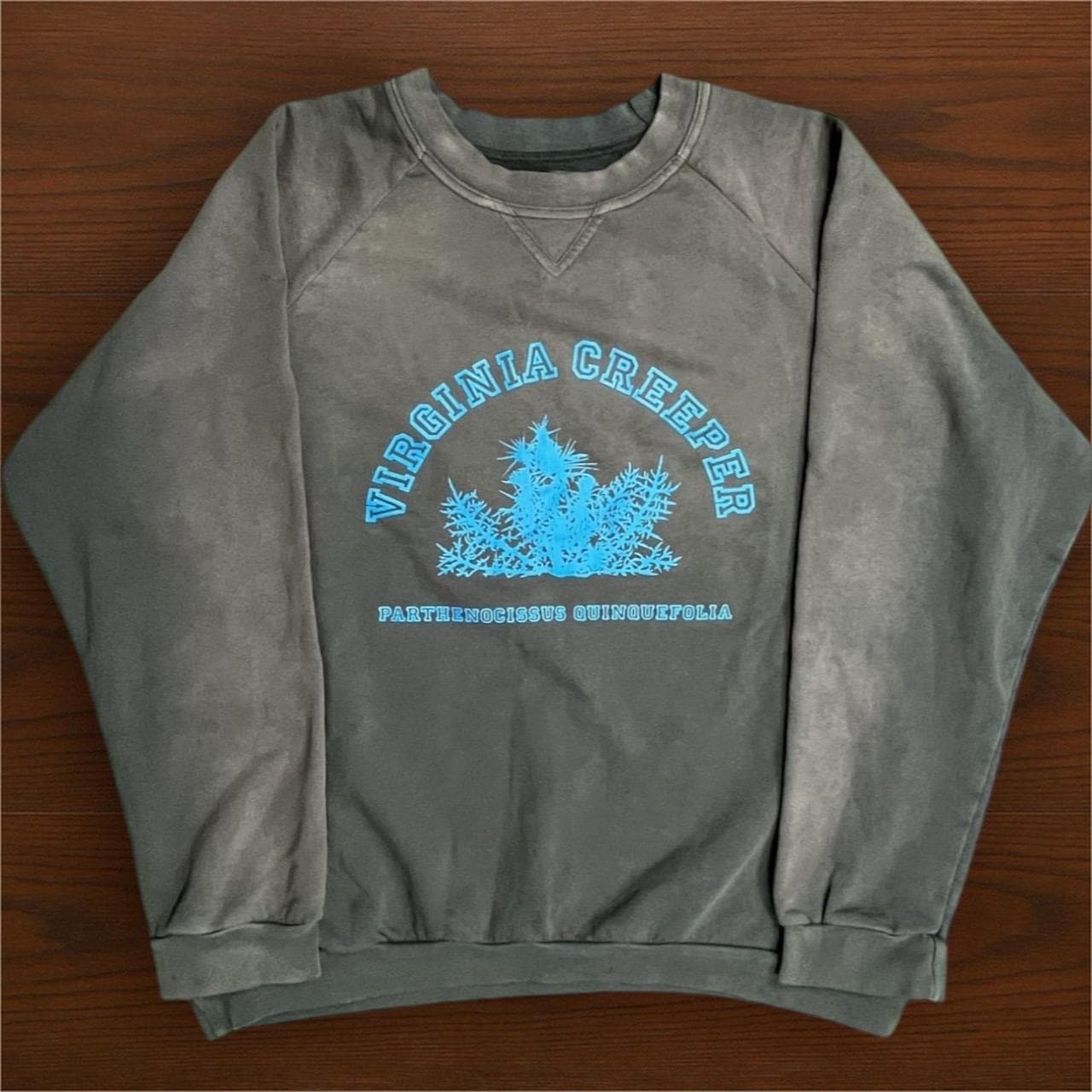Raf Simons 'virginia Creeper' Crewneck Vintage - Etsy