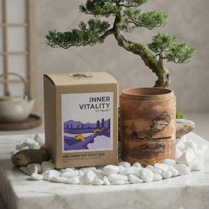 Könnte beinhalten: Eine braune Pappschachtel mit der Aufschrift INNER VITALITY und einer violetten Landschaftsgrafik neben einem zylindrischen Holzbehälter mit einer schwarzen Strichzeichnung einer Eule, beide auf weißen Steinen neben einem grünen Bonsai.