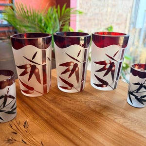 Puede incluir: Un juego de cinco vasos y vasos de chupito de vidrio esmerilado con un diseño de bambú. Los bordes son de color rojo intenso y el bambú está representado en un tono marrón rojizo. Los vasos están colocados sobre una superficie de madera.