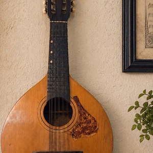 Könnte beinhalten: Eine zwölfsaitige Mandoline mit einem hellbraunen Holzkörper, einem dunklen Griffbrett und einem tropfenförmigen Schallloch. Sie verfügt über ein Schlagbrett mit Schildpattmuster, einen Metallsaitenhalter mit Gravur und helle Wirbel.