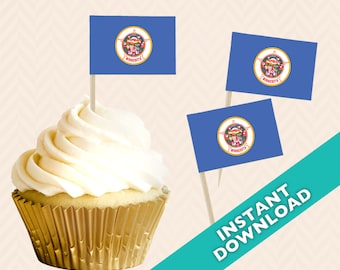 Minnesota State Flag Cupcake Topper - Election Party Decoration - Food Flag, DIY printable food flag, cupcake topper