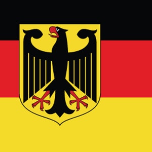 German Flag Toothpick Party Decoration Germany Party Theme image 7