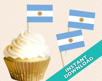 Argentina Flag Toothpick Party Decoration - Argentina World Cup