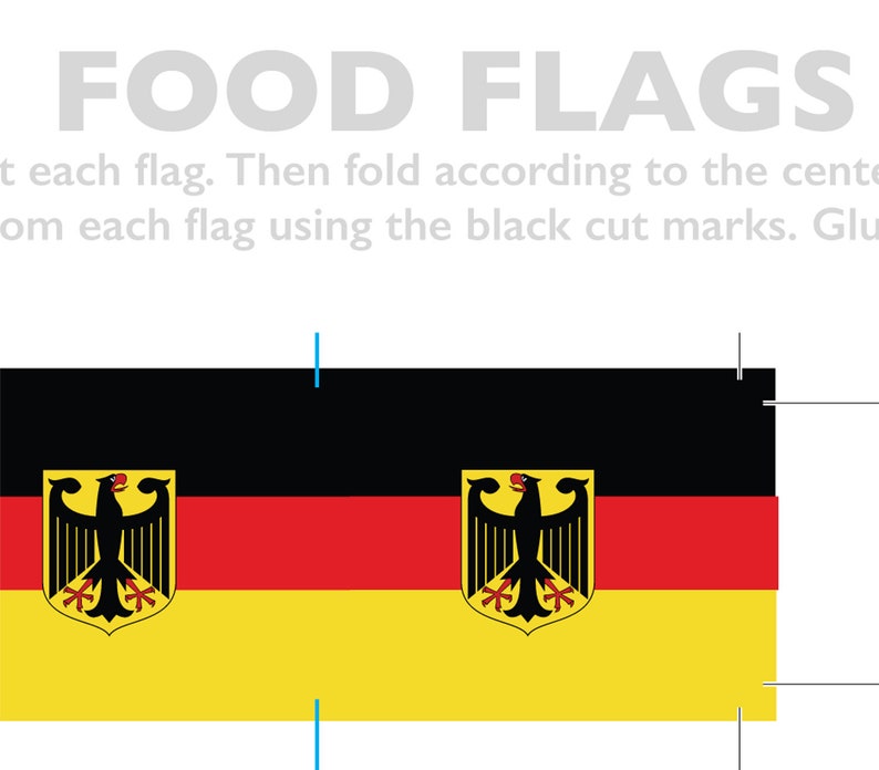 German Flag Toothpick Party Decoration Germany Party Theme image 4