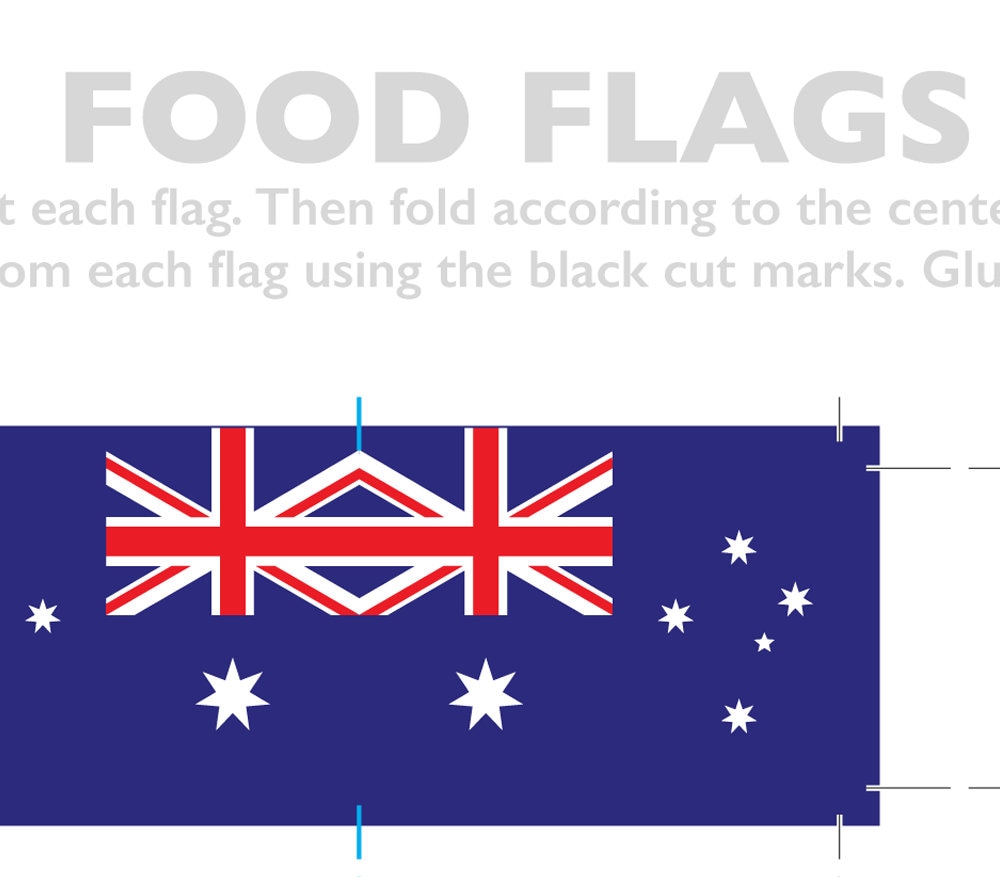 Australia Flag Toothpick Party Decoration Australian Party - Etsy