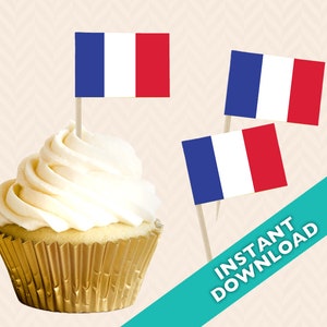 French Flag Toothpick Party Decoration - Bastille Day Party Food Flag, World Cup, cupcake topper