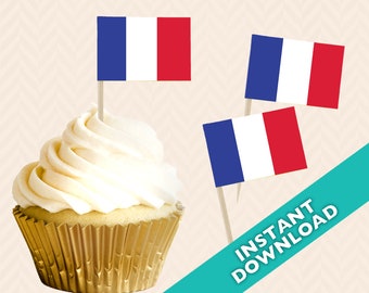 French Flag Toothpick Party Decoration - Bastille Day Party Food Flag, World Cup, cupcake topper