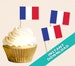 French Flag Toothpick Party Decoration - Bastille Day Party Food Flag, World Cup, cupcake topper 