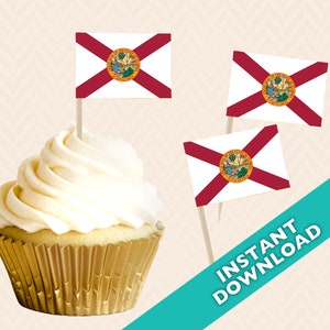 Topper per cupcake con bandiera dello stato della Florida - Decorazione per feste elettorali della Florida - Bandiera alimentare, bandiera alimentare stampabile fai-da-te, topper cupcake