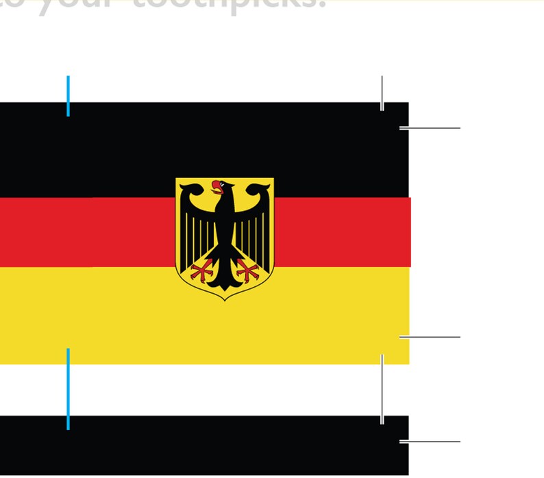 German Flag Toothpick Party Decoration Germany Party Theme image 5