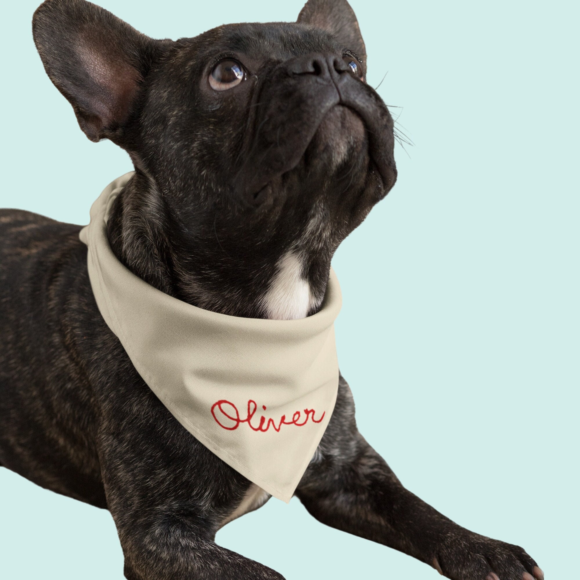Embroidered Dog Bandana Etsy