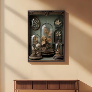 Gabinete de curiosidades / Especímenes botánicos antiguos / Decoración steampunk imagen 2