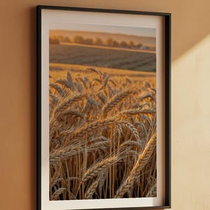 affiche de champ de blé | Art du paysage Golden Hour image 7