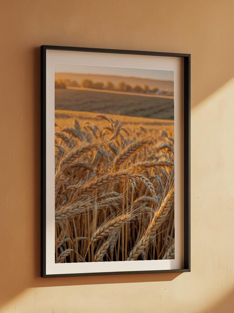 affiche de champ de blé | Art du paysage Golden Hour image 7