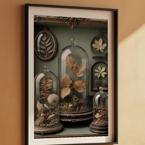 Gabinete de curiosidades / Especímenes botánicos antiguos / Decoración steampunk imagen 7