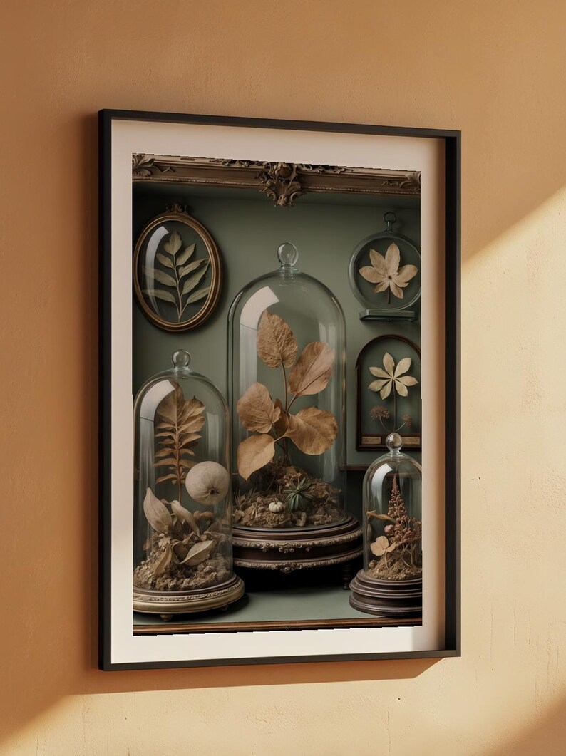 Gabinete de curiosidades / Especímenes botánicos antiguos / Decoración steampunk imagen 7